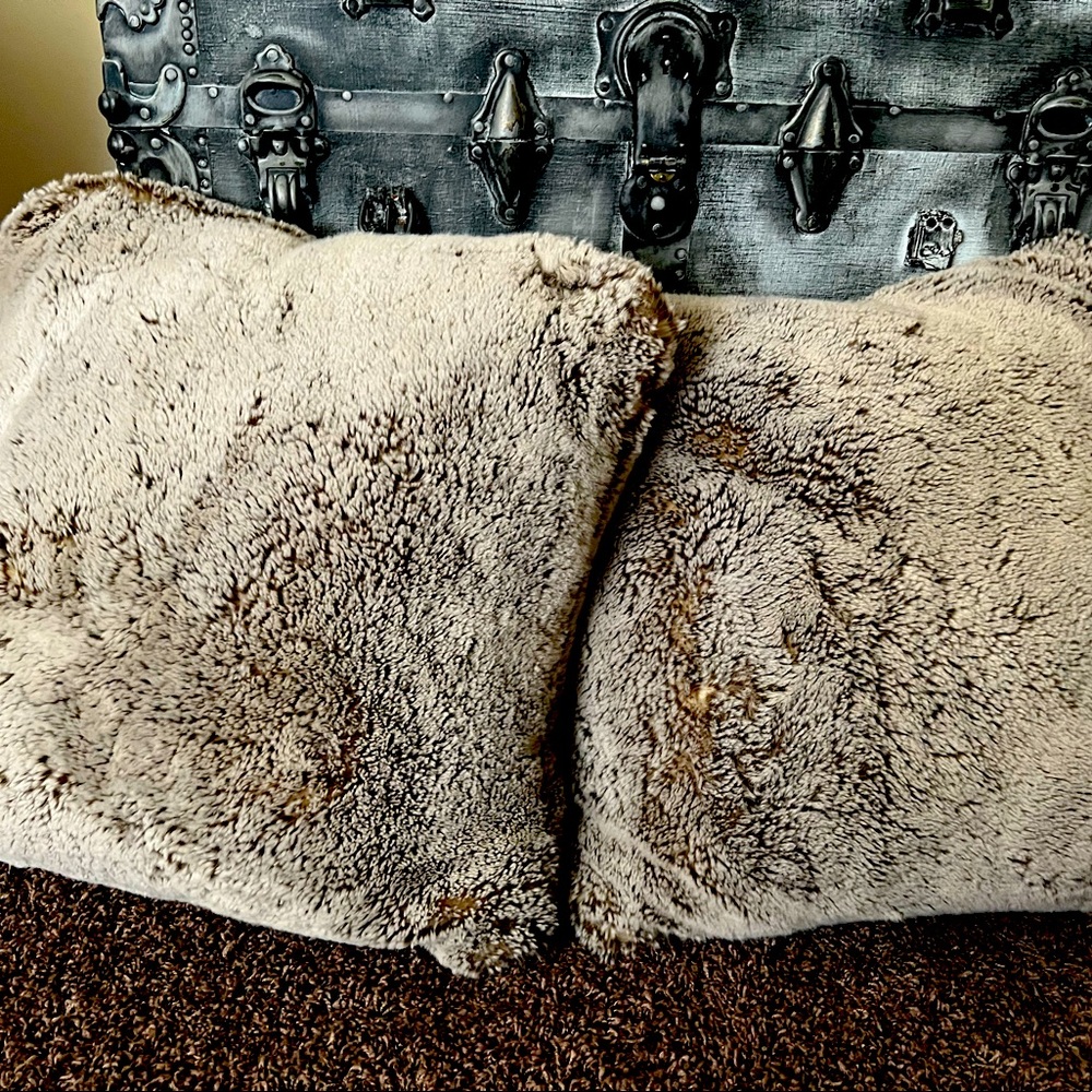 Tan/brown pillows